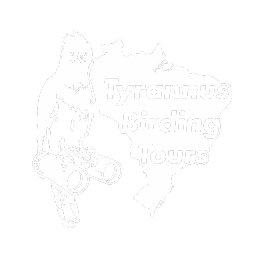 Logo Branco - Tyrannus Birding Tours