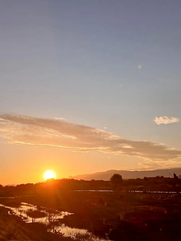Paisagens Centro-sul de Minas do Cerrado à Mata Atlântica (1 de 8)