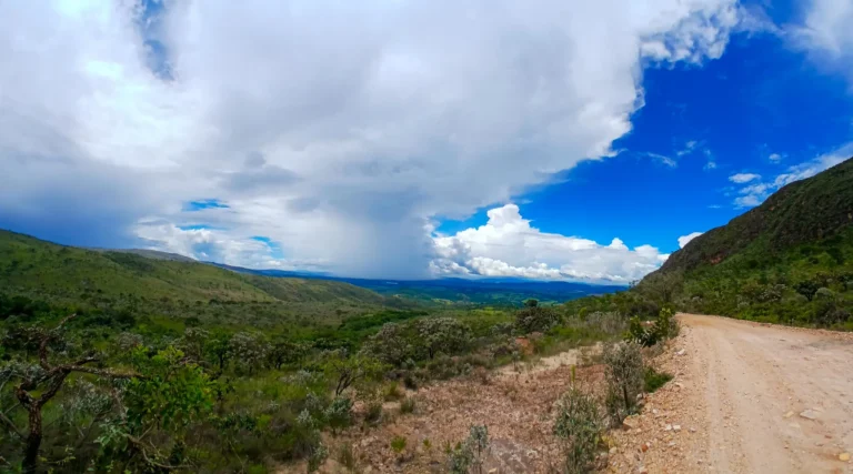 Paisagens Centro-sul de Minas do Cerrado à Mata Atlântica (6 de 8)