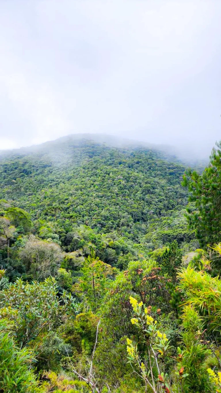 Paisagens Delfim Moreira (13 de 14)