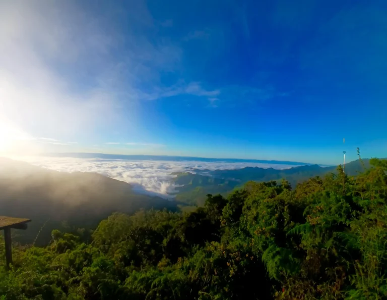 Paisagens Delfim Moreira (2 de 14)