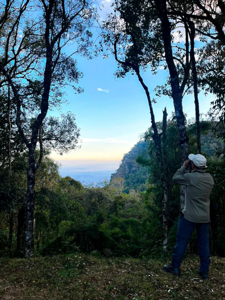 Paisagens Delfim Moreira (7 de 14)